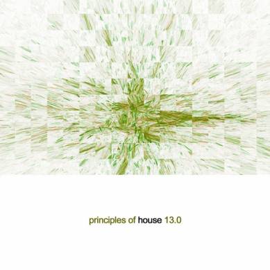 Principles of House Vol 13 (2014)
