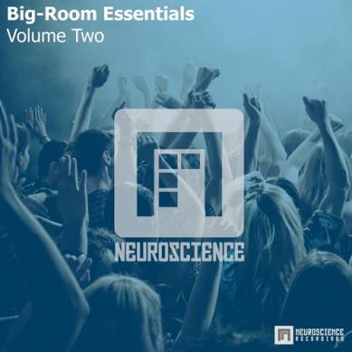 Big-Room Essentials Volume Two (2014)