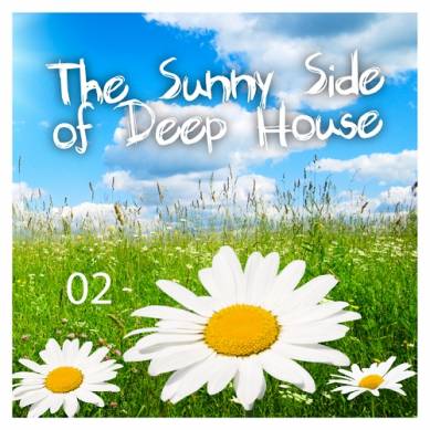 The Sunny Side of Deep House Vol 2 (2014)