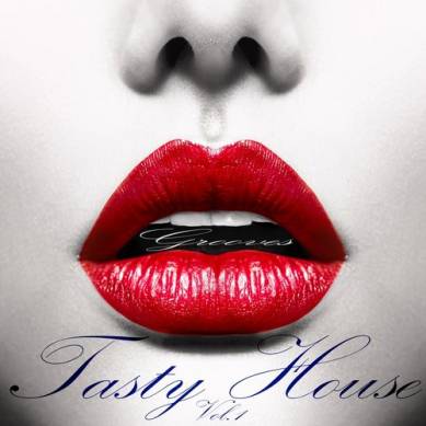 Tasty House Grooves Vol 1 Delicious and Sensual House Pearls (2014)