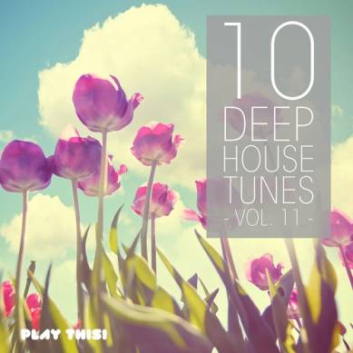 10 Deep House Tunes Vol 11 (2014)
