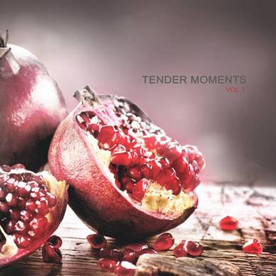 Tender Moments Vol 1 (2014)