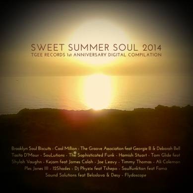 Sweet Summer Soul 2014 TGEE Records 1st Anniversary Compilation (2014)