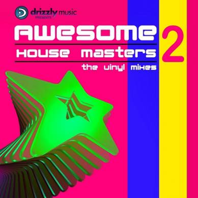 Awesome House Masters Vol 2 The Vinyl Mixes (2014)