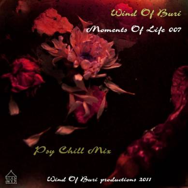 Moments Of Life Vol 7 Psy Chill Mix (2014)
