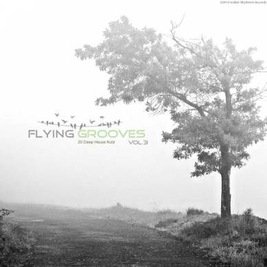 Flying Grooves Vol 3 20 Deep House Kutz (2014)