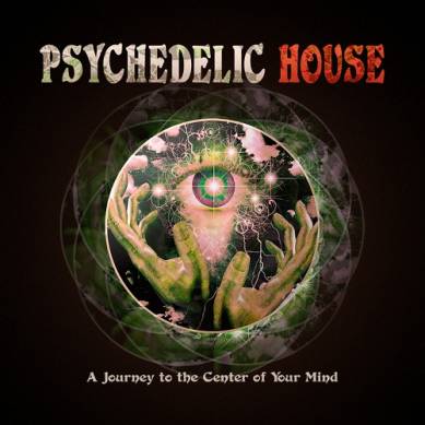 Psychedelic House A Journey to the Center of Your Mind (2014)