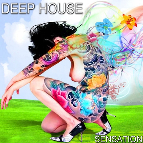 Deep House Sensation (2014) Deep House Sensation (2014)