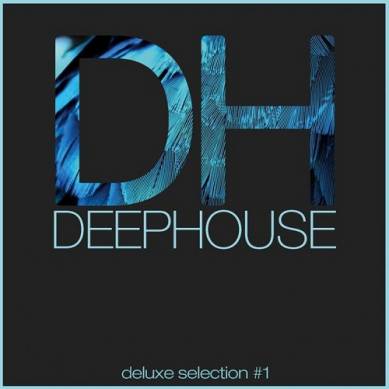 Deep House DeLuxe Selection #1 Best Deep House House Tech House Hits (2015)