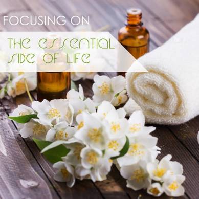 Focusing On the Essential Side of Life (2015)