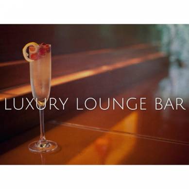 Luxury Lounge Bar Lounge Collection (2015)
