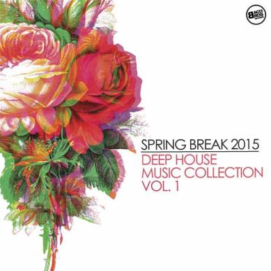 Spring Break 2015 Deep House Music Collection Vol 1 (2015)