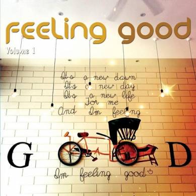 Feeling Good Vol 1 Positive Chill Grooves (2015)