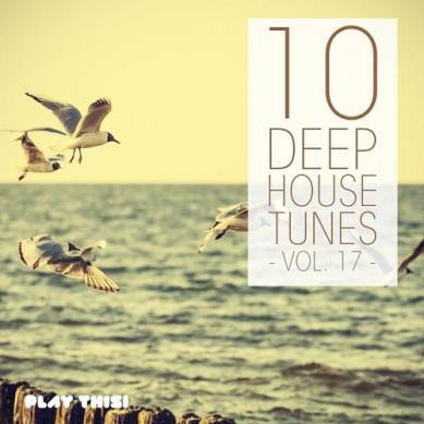 10 Deep House Tunes Vol 17 (2015)