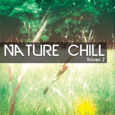 Nature Chill Vol 2 Relaxing Tunes Inspired by Nature (2015)