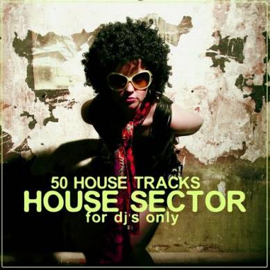 House Sector: 50 House Tracks (2012)