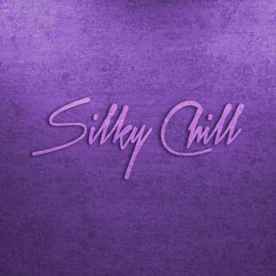 Silky Chill: Chill House and Chill Out (2012)