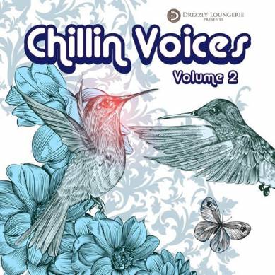 Chillin Voices Vol 2 Beautiful and Relaxing Vocal Lounge Music (2015)