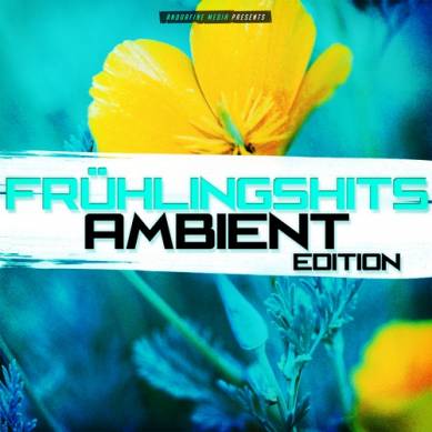 Fruhlingshits Ambient Edition (2015)