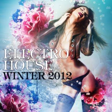 Electro House Winter (2012)
