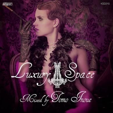 Luxury Space Mixed by Tomo Inoue (2013)