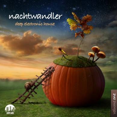 Nachtwandler Vol.1: Deep Electronic House (2013)