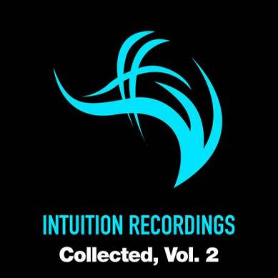 Intuition Recordings Collected Vol.2 (2013)