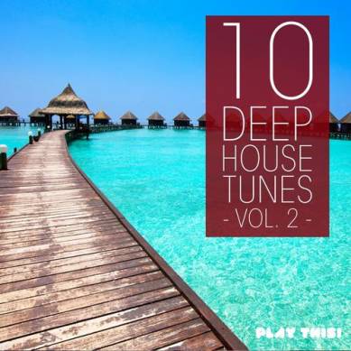 10 Deep House Tunes Vol 2 (2013)