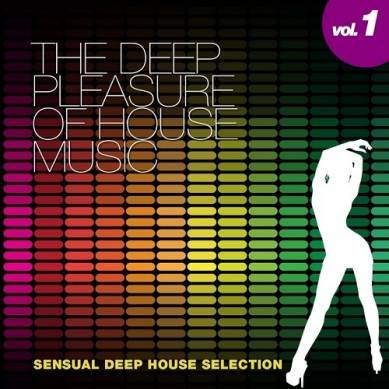 The Deep Pleasure of House Music Vol - 2 Sensual Deep House Selection (2013)