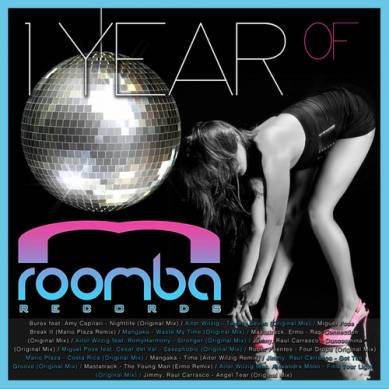 1 Year of Roomba Records (2013)