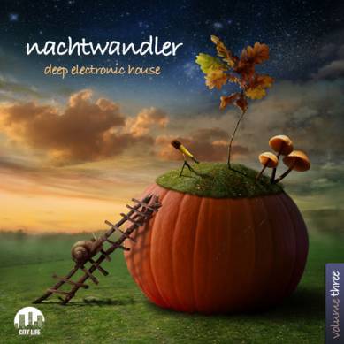 Nachtwandler Vol 3 Deep Electronic House (2013)